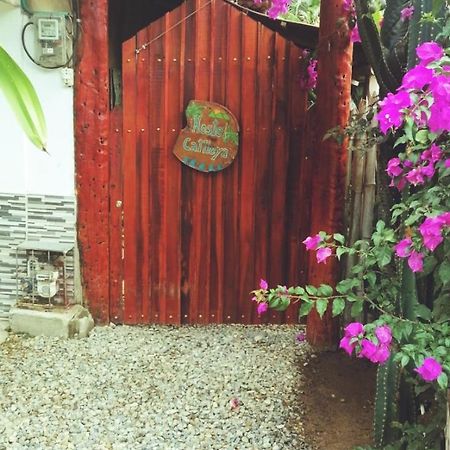 Hostel Cattleya بالومينو المظهر الخارجي الصورة