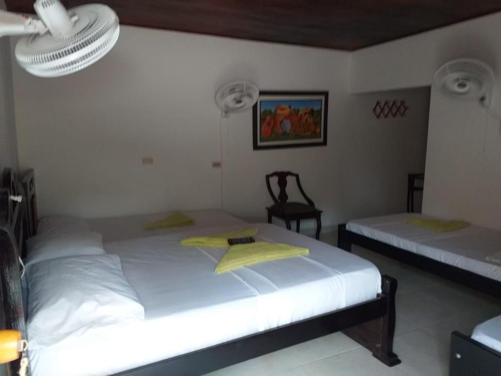 Hostel Cattleya بالومينو المظهر الخارجي الصورة
