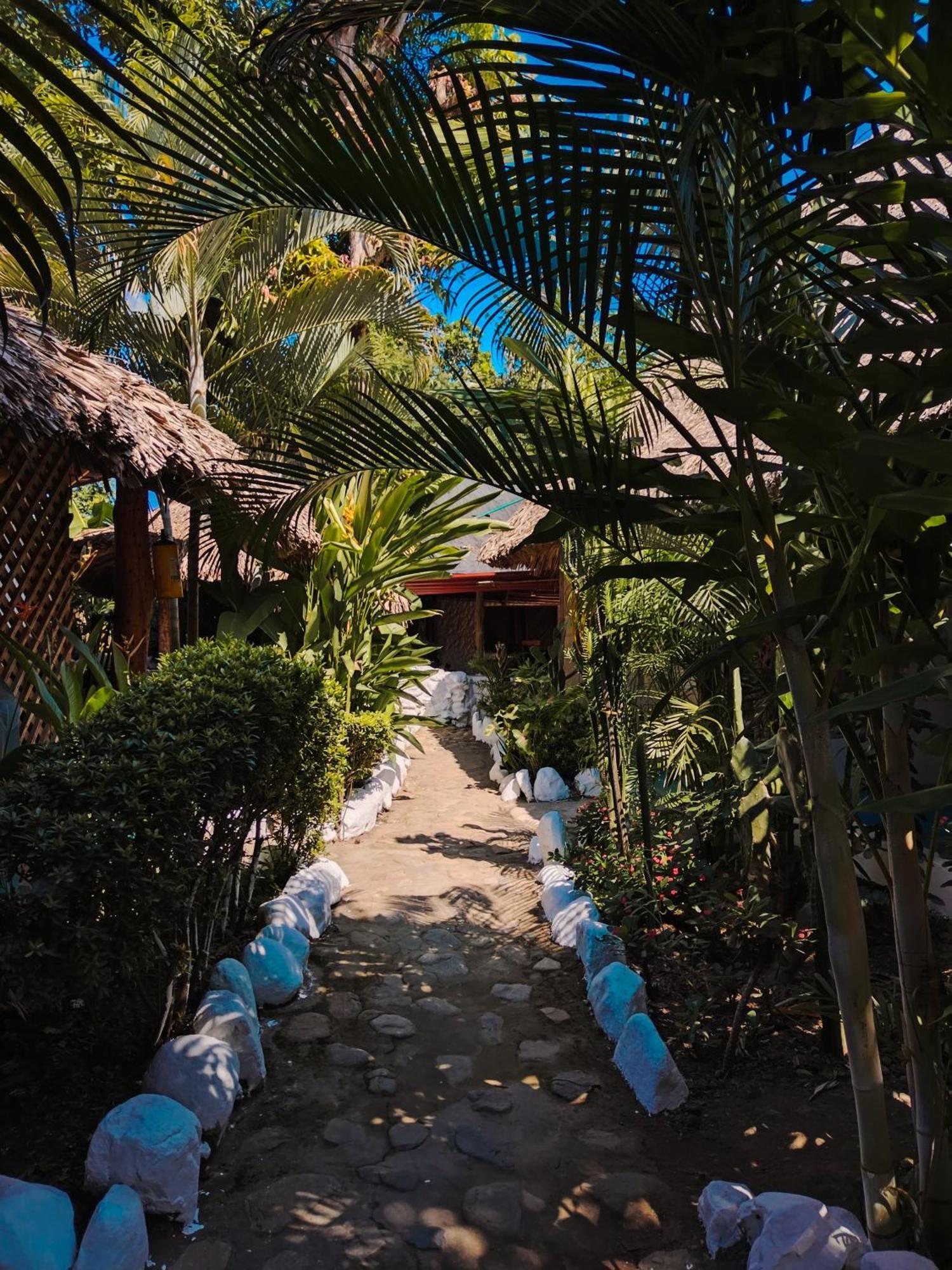 Hostel Cattleya بالومينو المظهر الخارجي الصورة