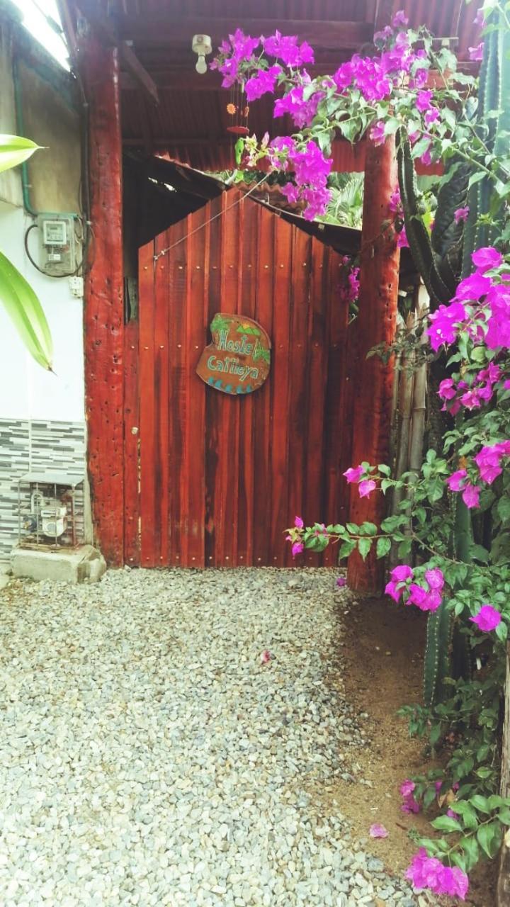 Hostel Cattleya بالومينو المظهر الخارجي الصورة