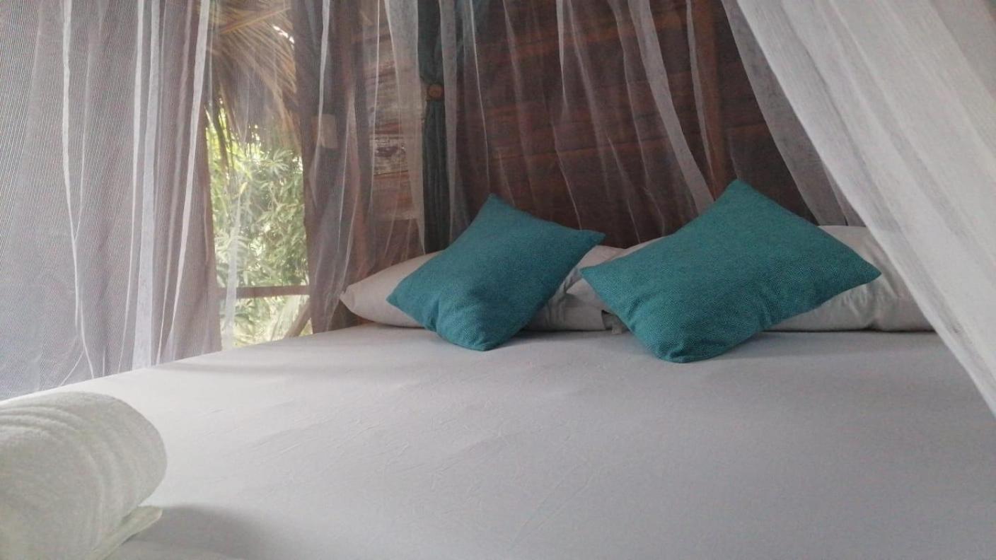 Hostel Cattleya بالومينو المظهر الخارجي الصورة