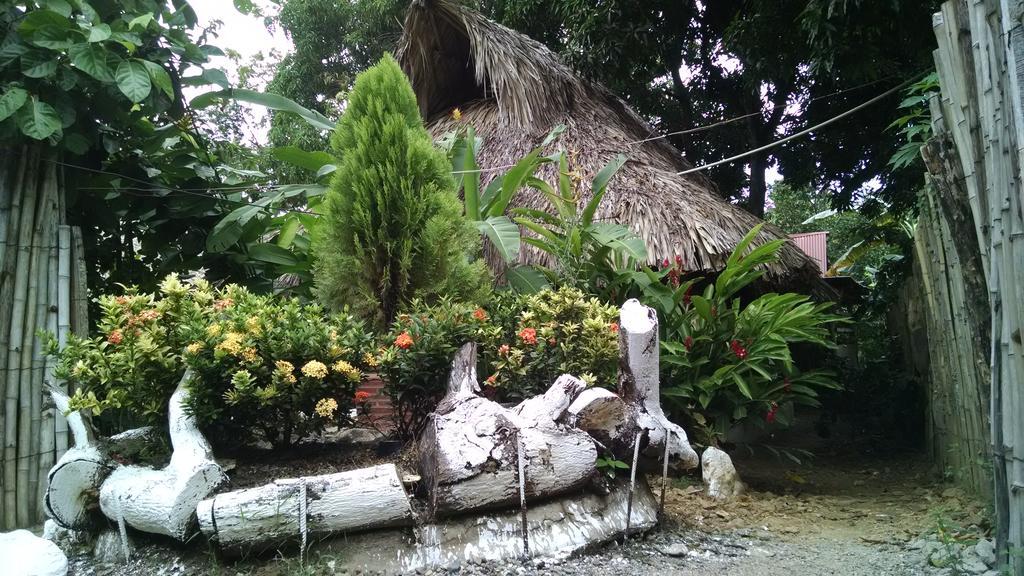 Hostel Cattleya بالومينو المظهر الخارجي الصورة