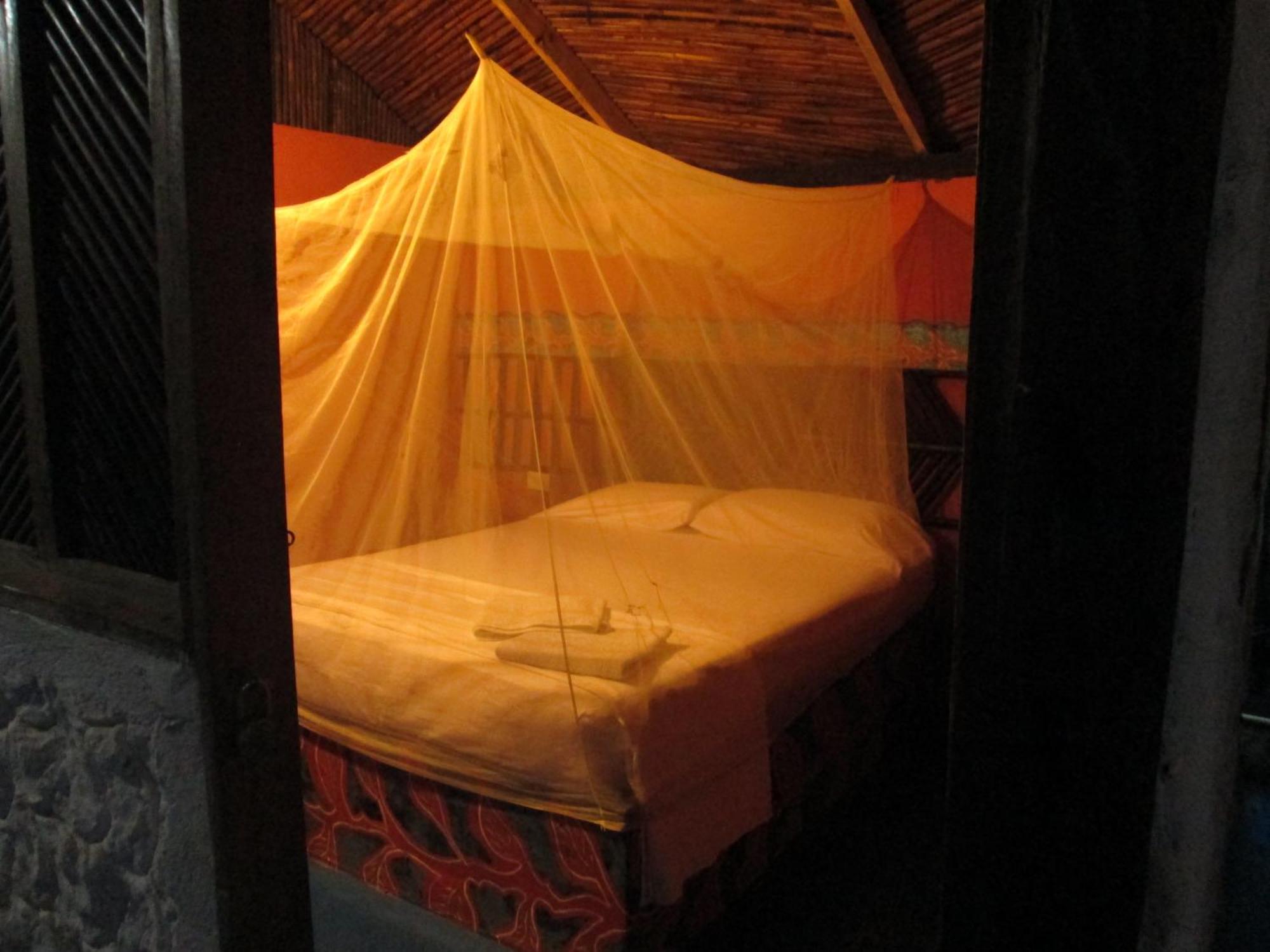 Hostel Cattleya بالومينو المظهر الخارجي الصورة
