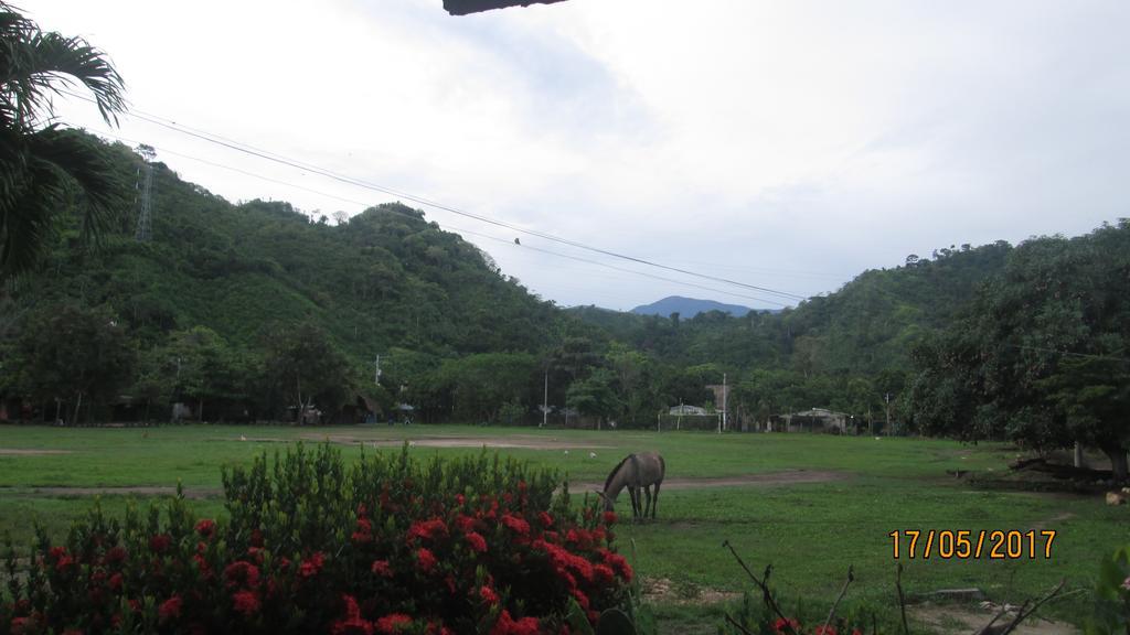 Hostel Cattleya بالومينو المظهر الخارجي الصورة