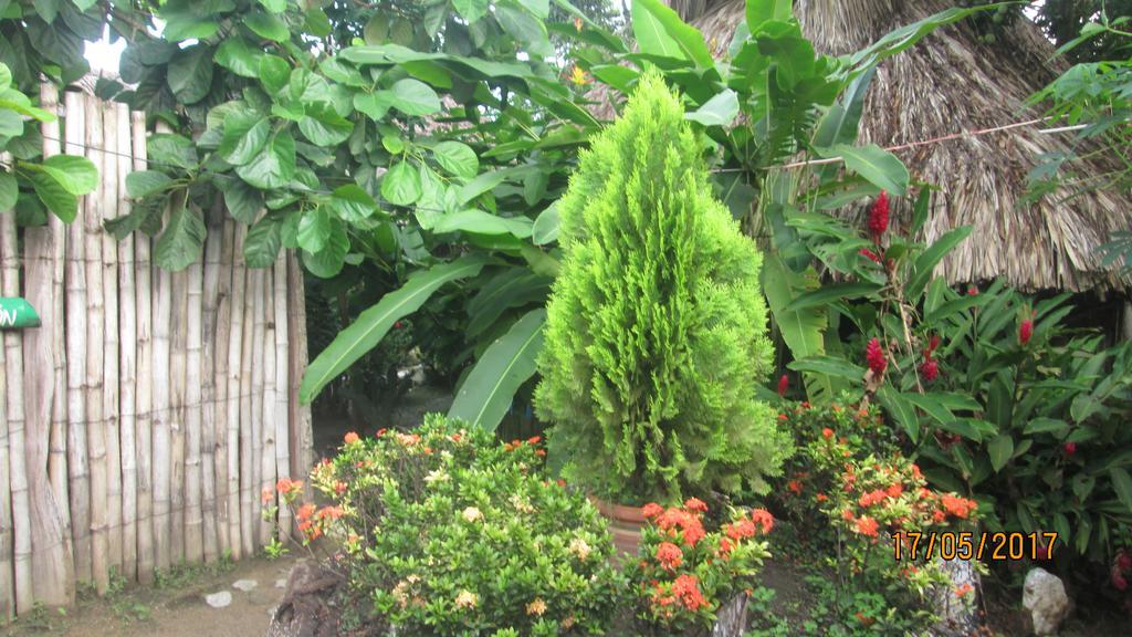 Hostel Cattleya بالومينو المظهر الخارجي الصورة