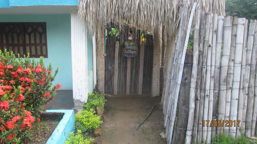 Hostel Cattleya بالومينو المظهر الخارجي الصورة