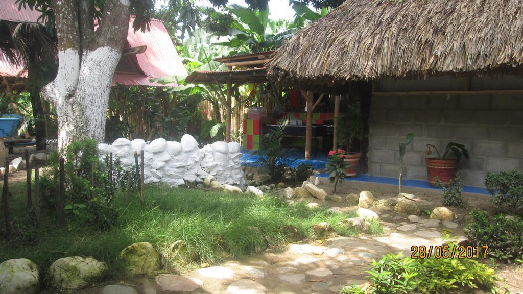 Hostel Cattleya بالومينو المظهر الخارجي الصورة
