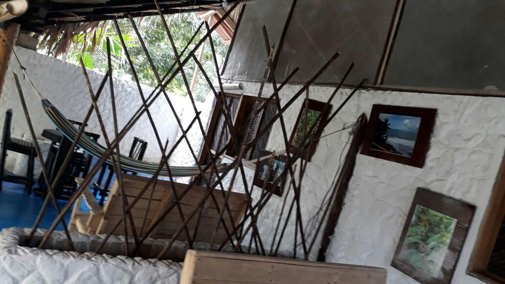 Hostel Cattleya بالومينو المظهر الخارجي الصورة