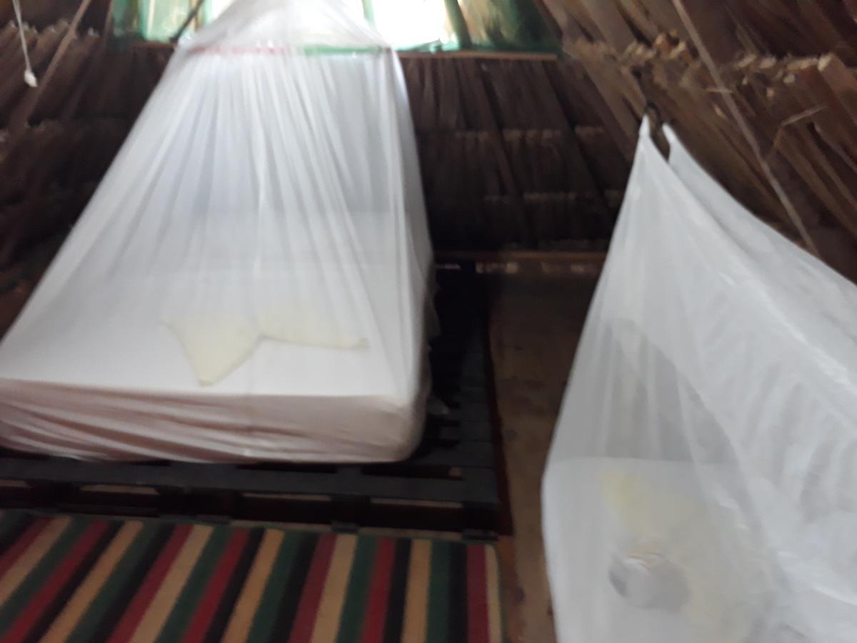 Hostel Cattleya بالومينو المظهر الخارجي الصورة