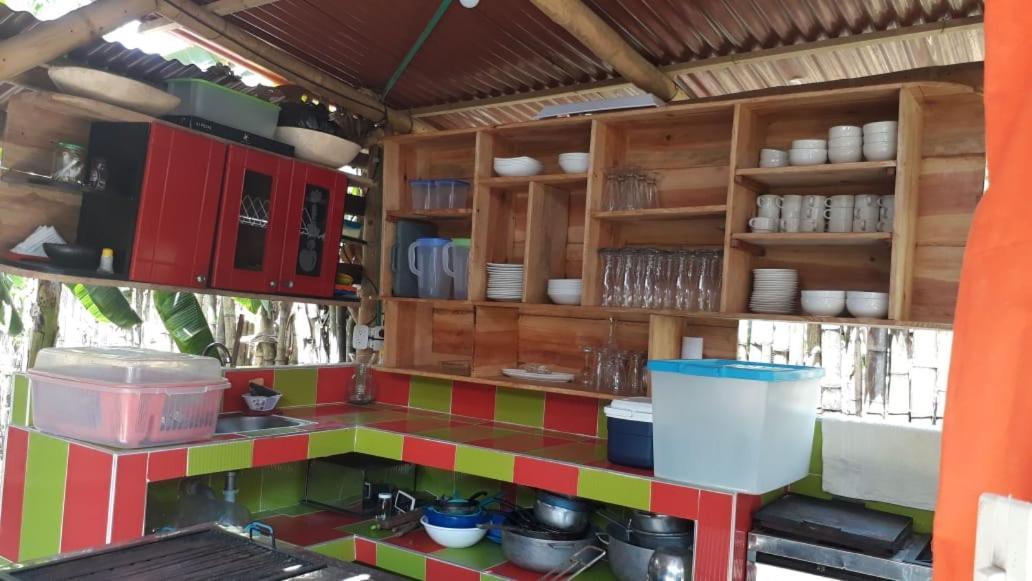 Hostel Cattleya بالومينو المظهر الخارجي الصورة